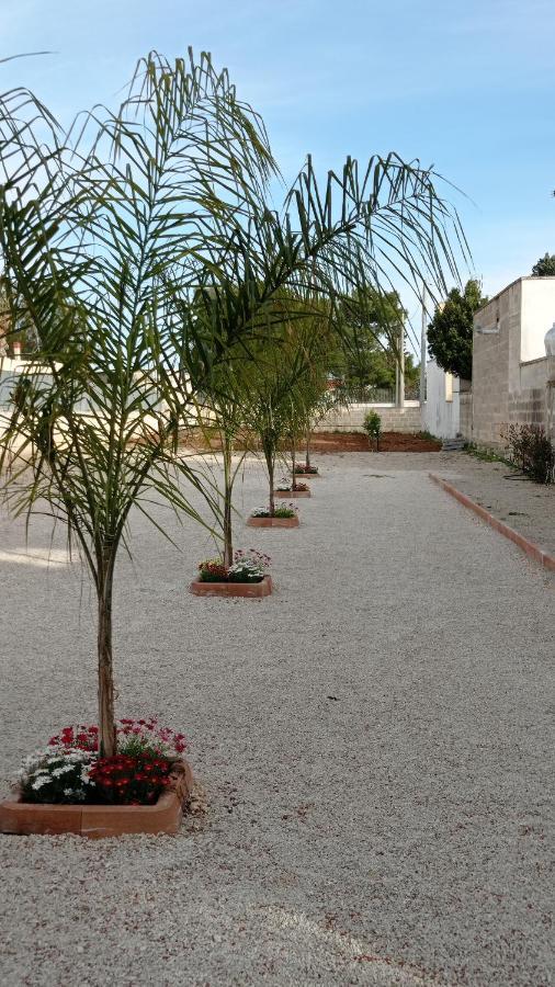 Villa Angela Chiara Porto Cesareo Exterior foto